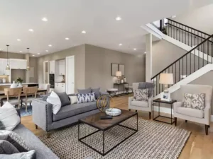 Local-house-painters-Avondale